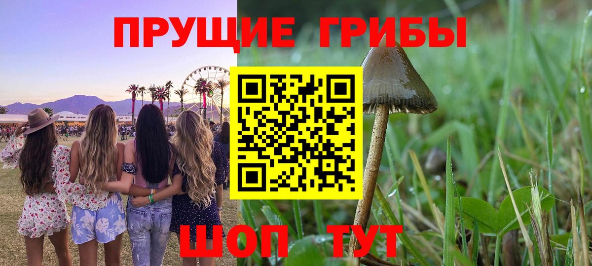 Псилоцибиновые грибы мухоморы  Псилоцибиновые грибы MAGIC MUSHROOMS  Вход с VPN  Воркута 